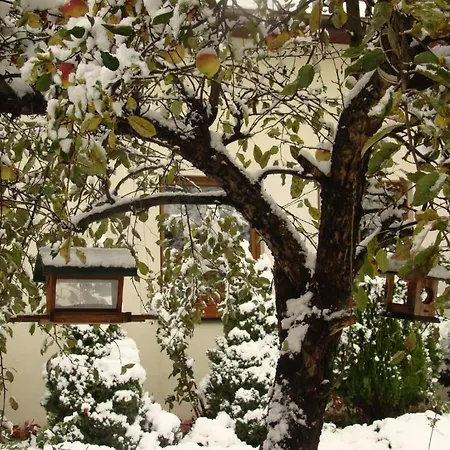 Pensjonat B&B Nad Rudawą-2